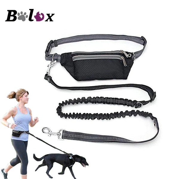 Waist Free Dog Runner